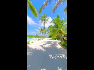 Видео от Amazing GoPro