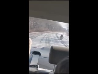 Видео от Ночные кошмары