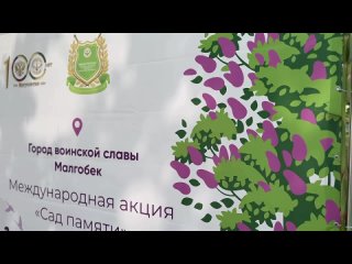 В Малгобеке сегодня сажают деревья в рамках акции «Сад Памяти»