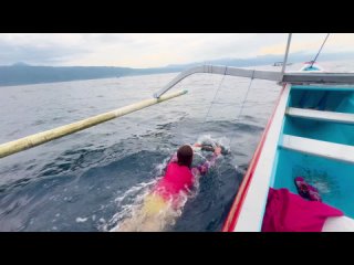 Встреча с дельфинами: Ловина в сердце океана 🐬🌊✨ Бали 🇮🇩