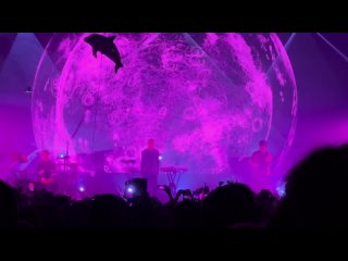 Дельфин  Миф live | Atmosphere