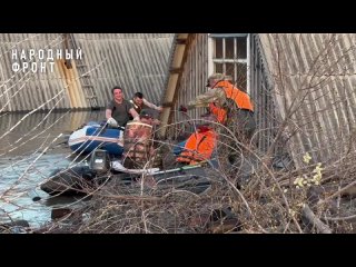 Video by Народный фронт | Курганская область