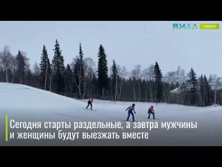 На Ямале проходит заключительный этап кубка России по сноуборду