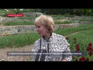 В Никитском ботаническом саду возле Ялты открылась уникальная выставка ирисов