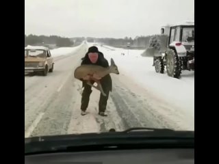 Этот парень - примерный образец, хотелось бы видеть больше таких людей.