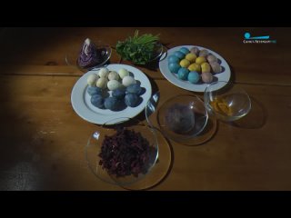 Красим яйца на Пасху с помощью самых распространённых продуктов