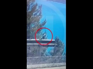 В сети появилось видео падения жительницы Сочи со смотровой площадки в Абхазии.