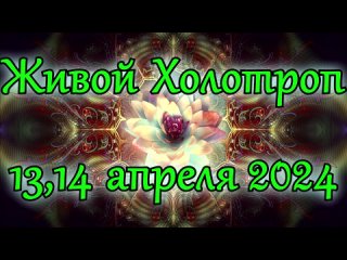 Живой Холотроп в Омске апр. 2024. Приглашение