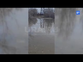 В Кургане разлившийся Тобол перекрыл горожанам дорогу к мосту в Западном