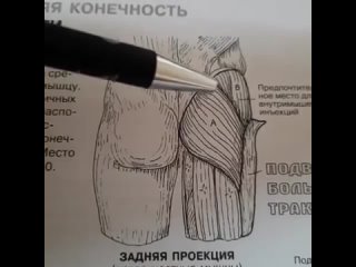 Самомассаж при боли в тазобедренном суставе