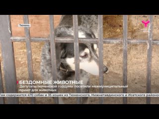 Депутаты Тюменской гордумы посетили межмуниципальный приют для животных