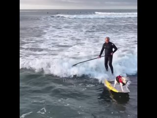 Это самое прекрасное катание на волнах 🌊