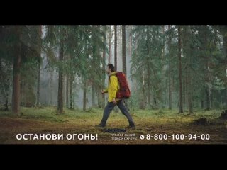 Чтобы отдых в лесном массиве принес только положительные эмоции, стоит обратить особое внимание на соблюдение правил пожарной бе