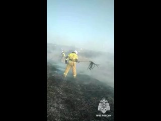 В ДНР пожарные МЧС спасли зайчат
