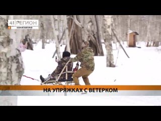 Участники СВО покатались на собачьих упряжках