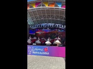 Видео от Народный коллектив ансамбль танца Сударушка