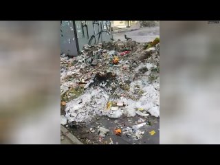 Оттепель по-челябински: в районе Академ коммунальщики не вывозят мусор неделями — на глыбах из отход