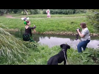 Dog Training Жил Был Кинолог  Зоопсихолог   Моя Жизнь Кино  Документальный Многосерийный Фильм  Музей Псов