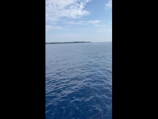 Яхтсмены встречают игривых дельфинов на Мальдивах