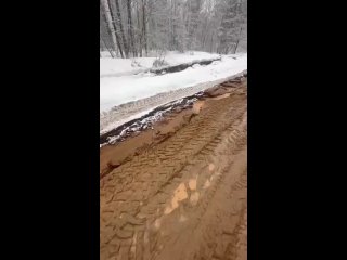 Поселок Донаурово в Кировской области отрезан от мира.