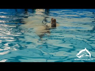 Центр реабилитации дельфинов «Безмятежное море» получил разрешение от Росприроднадзора на выпуск спасенной в феврале афалины в м