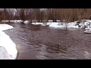 Видео от Елены Худяковой