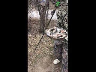 Video by Наш отдых (рыбалка , грибы).      Новосибирск