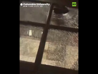 ICYMI: Protestors storm Columbia University building
