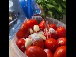 Если вы не можете органично интегрировать фирменные квашеные помидоры в свой рецепт, просто добавьте их как приправу.