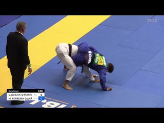 2F VINICIUS MARTINS vs MICAEL GALVAO 2024 Brasileiro Jiu-Jitsu IBJJF