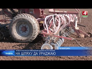 Яровые культуры на Гомельщине посеяны на 15% площадей