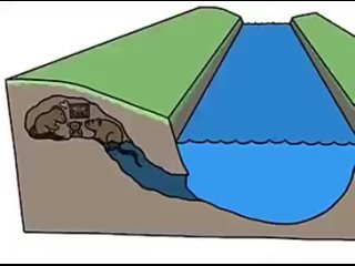 The geomorphology of a river