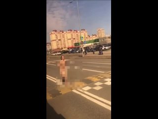 В Петербурге голая девушка прыгнула c 19-метрового моста, убегая от полицииПолицейские попытались задержать её на мосту, но