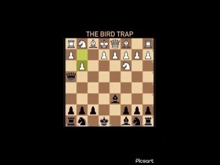 Видео от Шахматы. Обучение. Онлайн школа “Перспектива“