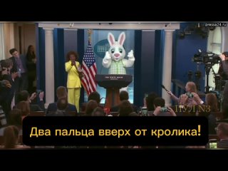 «Это Джон Кирби?»: Брифинг для прессы в Белом доме начал Пасхальный кролик.