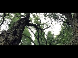 OMNIMAR_-_Forever_(Official_Video)