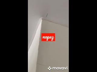 MovaviClips_Video_20240329-005633.mp4