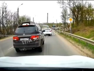 Лось чуть не попал под колеса машины на Веневском шоссе в Туле