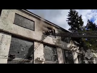 Три человека погибли на крупном пожаре в Воронеже