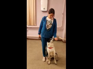 Видео от “Анкур“ (Челябинск) - дрессировка собак