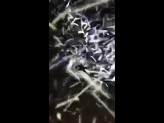 — И биться сердце перестало. Они меня сейчас сожрут!    Орды мошек атаковали жителей Шахт. Мужчины отдыхали в устье... (видео)