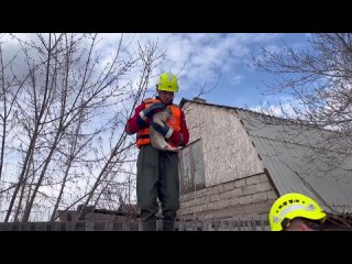 Видео от Всероссийский студенческий корпус спасателей