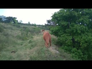 Видео от Горы Крыма пешком