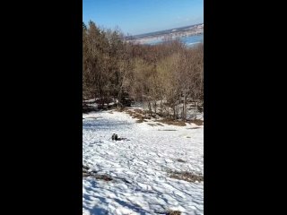Фрирайд сноуборд с падением) Печищи  Казань
