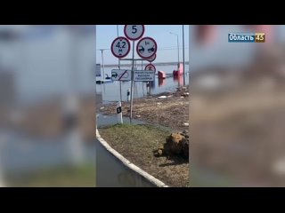 В Курганской области вода подходит к Белому Яру