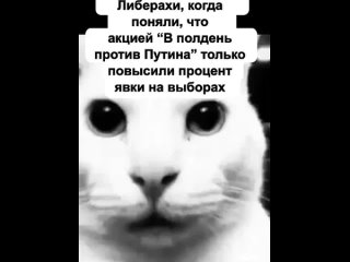 Либерахи, когда поняли, что акцией “В полдень против Путина“ только повысили процент явки на выборах... 😑