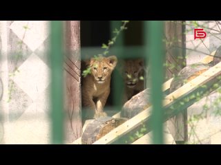 Белгородский зоопарк перешёл на летний режим