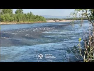 На Закарпатье в Тисе обнаружили тела двух мужчин, сообщает Госпогранслужба