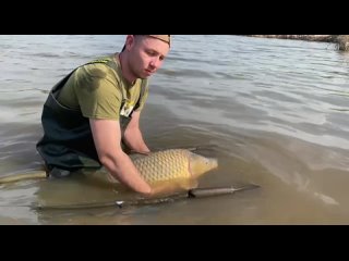 Золотая Рыбка - Рыбалка в Тольяттиtan video