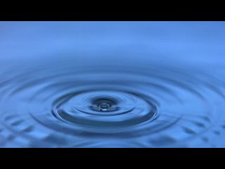 Water droplet bouncing on water PHYSICS
